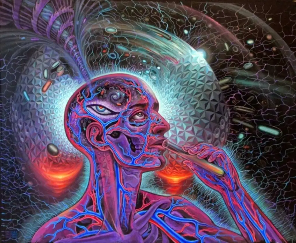 Exploring the Depths of DMT: A Comprehensive Guide